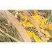 Trixie Hay roll with blossoms 500 g - 60798 - Buy Online on SooperMarket.com