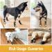 SCIROKKO Anti-Slip Dog Socks (3 Pairs) - Adjustable Pet Paw Protection with Golden Paw Pattern - Indoor Traction Control - Size L (Paw width 3.13 in) Black - Buy Online on SooperMarket.com