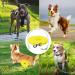 Buy Waterproof Dog Leash - Chew Proof Tie-Out & Training Leash (3m Yellow) | Durable & Reliable for International Shipping - Buy Online on SooperMarket.com