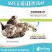 Raw Paws Compressed Catnip Ball Toy 6 Pack for Indoor Cats - All Natural Catnip Interactive Kicker Toy - Catnip Cat Toys for Kitties - Buy Online on SooperMarket.com
