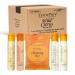 Terra Pure Wild Citrus Hotel Amenities Set of 300 1oz pieces - All-In-Kit Includes Shampoo Conditioner Body Wash Lotion Soap Bar - Moisturizing Paraben Free Gluten Free Organic Ingredients UNBOXED 300 PIECES