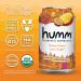 Humm Probiotic Kombucha Mango Passionfruit - 2 Billion Probiotics - Organic, Vegan & GMO-Free - 12 Pack, 12 Fl Oz - Buy Online on SooperMarket.com