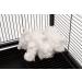 Lixit Bird & Small Animal Nesting Material 2oz - Natural Fiber Bedding - Buy Online on SooperMarket.com