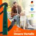 Qomfy Home Dog Pipe with Bracelet & Collar (Green) - Ultimate Recall & Training Accessory - Educational Dog Aids & Whistle - Buy Online on SooperMarket.com