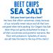 Rhythm Superfoods Organic Salted Beet Chips | 1.4 Oz (Pack of 4) | Vegan/Gluten-Free Snacks - Buy Online on SooperMarket.com