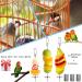 3-Pack Stainless Steel Parrot Spit & Bird Toy Holder for Nymphensittich & Budgies - Feed Hang & Treat Your Pets - Buy Online on SooperMarket.com