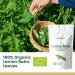 Lemon Balm Tea Organic 100g (50 Cups) | Organic Lemon Balm Leaves Clean and Dried REPLANTEA - Buy Online on SooperMarket.com