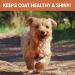 SKIPPER'S Fresh Scottish Salmon Oil for Pets - 100% Pure Omega 3, 6 & 9 Fish Oil Supplement | Promotes Healthy Skin, Coat & Joints - 250 ml - Buy Online on SooperMarket.com