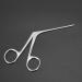 Stainless Steel Ear Forceps for Precision Ear Cleaning and Wax Removal | Ear Pick Tool for Effective Ear Treatment - Buy Online on SooperMarket.com