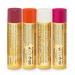 Burt's Bees Holiday Gift: 4 Lip Balm Stocking Stuffer Set - Beeswax Fruit Collection (Pomegranate, Sweet Mandarin, Coconut & Pear, Watermelon) - 4pk - Buy Online on SooperMarket.com