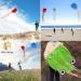 3 Pack Octopus Kite Set - Easy Flyer Beach Kites for Kids & Adults - Blue/Green/Red - 100M Kite String Included - Buy Online on SooperMarket.com