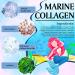 Natural Marine Collagen & Hyaluronic Acid Eye Masks - 18 Pairs Anti-Aging Pads for Dark Circles & Swollen Eyes - Buy Online on SooperMarket.com
