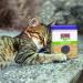 KONG Naturals Premium Catnip 2 oz (2 Pack) - North American Grown Catnip | 100% Natural Catnip - Buy Online on SooperMarket.com