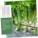 BCOATH 2pcs Vegetable Shaping Fruit Vegetable Forming Mould Kit Watermelon Picking Garden - Buy Online on SooperMarket.com