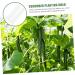 Milisten Horticulture 3pcs Vegetable Shaping Mold Strawberry Garden Tools Cucumber Molds As Shown 20x6cm - Buy Online on SooperMarket.com