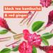 Love Beauty And Planet Sulfate Free Black Tea Kombucha & Red Ginger Shampoo - 32.3 Fl Oz | Detox & Nourish for Soft Shiny Hair - Buy Online on SooperMarket.com