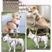 Multi-Purpose Dog Harness & Leash Set - Outbreak-Proof Anti-Train Safety Harness for Small & Medium Dogs (Pink M) - Buy Online on SooperMarket.com