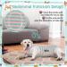 Zuimei Dog Surgery Recovery Suit Striped Dog Surgical Recovery Suit Anti-licking Dog Post Surgery Bodysuit Dog Recovery Shirt Dog Onesie Vest For Wound Protection E-Collar Alternative(Green S) pink green S - Buy Online on SooperMarket.com
