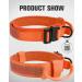 Joytale Tactical Dog Collar for Large Dogs | Durable Orange Dog Collar with Handle & QR Code Tag | Shop Now! - Buy Online on SooperMarket.com