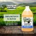Vermont Castile Soap Unscented 64 Fl Oz - Gentle Liquid Soap for Sensitive Skin, Natural Body Wash, Organic Shampoo - Aloe Castile Soap for Men & Women - Buy Online on SooperMarket.com