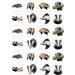 24 edible Badgers Badger British Wildlife kids childrens party decorations Iced/Icing Cupcake Topper Edible Fairy Cake Bun Toppers Round - Buy Online on SooperMarket.com