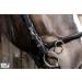 Buy Tysons Breeches Cavesson Leather - Extra Large Coldblood X-Full XX Full with Bit Attachment | Premium Quality Horse Tack - Buy Online on SooperMarket.com