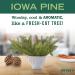 Mrs. Meyer's Iowa Pine Scented Soy Aromatherapy Candle - 35 Hour Burn Time, Essential Oils - 7.2 oz - Buy Online on SooperMarket.com