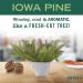 Mrs. Meyer's Iowa Pine Hand Soap with Essential Oils - Biodegradable Formula - Limited Edition 12.5 fl. oz - Buy Online on SooperMarket.com