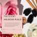 OUAI Melrose Place Eau de Parfum Set - Elegant Womens Perfume for Everyday Wear - Fresh Floral Scent Notes of Champagne Bergamot & Rose with Hints of Cedarwood & Lychee (2 Count 0.34 Oz/1.7 Oz) - Buy Online on SooperMarket.com