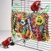 Wellensing Colorful Parrot Swing Toy | Natural Safe Wood Chew Block for All Birds (Red) - Buy Online on SooperMarket.com