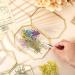 Dried Babys Breath Flowers - 100 Pcs Natural Gypsophila Branches for DIY Crafts and Gifts - Mixed Color Pressed Baby's Breath Flowers - Buy Online on SooperMarket.com