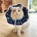 ComSaf Soft Cat Recovery Collar - Adjustable Elizabethan Cone for Post-Surgery Comfort - Prevents Licking, Lightweight - M (Neck 9-11 in) - Buy Online on SooperMarket.com