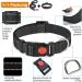 Haapaw Padded Reflective Dog Collar - Soft Neoprene Nylon for Small & Medium Dogs - Black (L - 1 Pack) | Comfortable & Breathable Design - Buy Online on SooperMarket.com