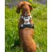 Shop Lionto Adjustable Padded Anti-Pull Dog Harness - Reflective Safety Harness Size S Beige | International Shipping Available - Buy Online on SooperMarket.com