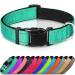 Joytale Dog Collar Reflective Dog Collar Small Dogs S Turquoise S (Pack of 1) Turquoise