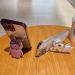 Tivenfezk Nadoli for Oppo Realme 8 4G - Glitter Rabbit Stand Soft Silicone Case - Transparent Protective Cover - Buy Online on SooperMarket.com