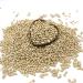 Thames Organic Organic Haricot Beans 500g - High Fibre & Protein, Raw, Vegan, GMO-Free - Nutritious & Flavorful - Ideal for Soups & Salads - Buy Online on SooperMarket.com
