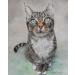 Clairefontaine PastelMat Paper Pack 5 Sheets - 24x32 cm Dark Grey - Buy Online on SooperMarket.com
