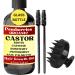 Organic Castor Oil Castor Oil with Rosemary Biotin Mint Caffeine and Saw Palmetto Scalp Treatment Castor Oil for Hair Growth Eyebrows Strengthening Nourishing Reduce Hair Loss 4 fl oz