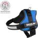 K9 Powerharness M/0 - Kiwi | Durable Dog Harness for Ultimate Comfort and Control | International Shipping Available - Buy Online on SooperMarket.com