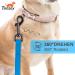 Toozey Waterproof Dog Drag Line - 3m to 20m Leashes Robust Training Lines for All Dog Sizes Includes Hand Loop & Mains Bag - Perfect for Reliable Outdoor Training - Buy Online on SooperMarket.com
