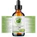 Cucumber Seed Oil. 120ml. 100% Pure. Cold-pressed. Unrefined. Organic. Carrier Base Oil. Chemical-free. Promotes Skin Hydration. Lightweight. Natural Moisturizer for Hair Skin Nails Stretch Marks. Bella Terra Oils. 120 ml (Pack of 1) - Buy Online on SooperMarket.com