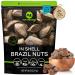 Raw Brazil Nuts In Shell - Whole Superior to Organic (80oz - 5 LB) Bulk Nuts Packed Fresh in Resealable Bag - Healthy Protein Food Snack All Natural Keto Friendly Vegan Kosher Brazil Nuts In Shell 5 Pound (Pack of 1)