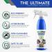 RepelWell Multi-Protect Stain & Water Repellent (12oz) Eco-Friendly  Pet-Safe Spray Keeps Your Belongings Clean  Dry and Looking Like New  Protects Fabric  Upholstery  Leather  Footwear & More Multi Protect 12oz - Buy Online on SooperMarket.com