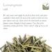 Organic Lemongrass Herbal Tea - 200g Citronella Tea for Wellness & Flavor - Premium Quality Dried Lemongrass - Buy Online on SooperMarket.com