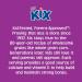 Berry Berry Kix Whole Grain Breakfast Cereal 18 oz - Nutritious and Delicious - Buy Online on SooperMarket.com