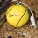 GAMESUN Galvanized Tetherball Set with Yellow Ball - Outdoor Backyard Game with Durable Poles and Rope - Buy Online on SooperMarket.com