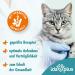 Ida Plus Dental Care Mini Sticks for Cats - Anti-Plaque Treats Freshens Breath Cleans Teeth - 80 Delicious Pieces - Buy Online on SooperMarket.com