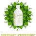 Sapadilla Dish Soap Rosemary Peppermint - 16 Fl Oz | Eco-Friendly Vegan & Biodegradable - Buy Online on SooperMarket.com
