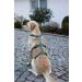 Kerbl 80045 Panic Harness Miami - Escape-Proof Design Petrol Color Adjustable 64-100cm | Shop Now for International Shipping - Buy Online on SooperMarket.com